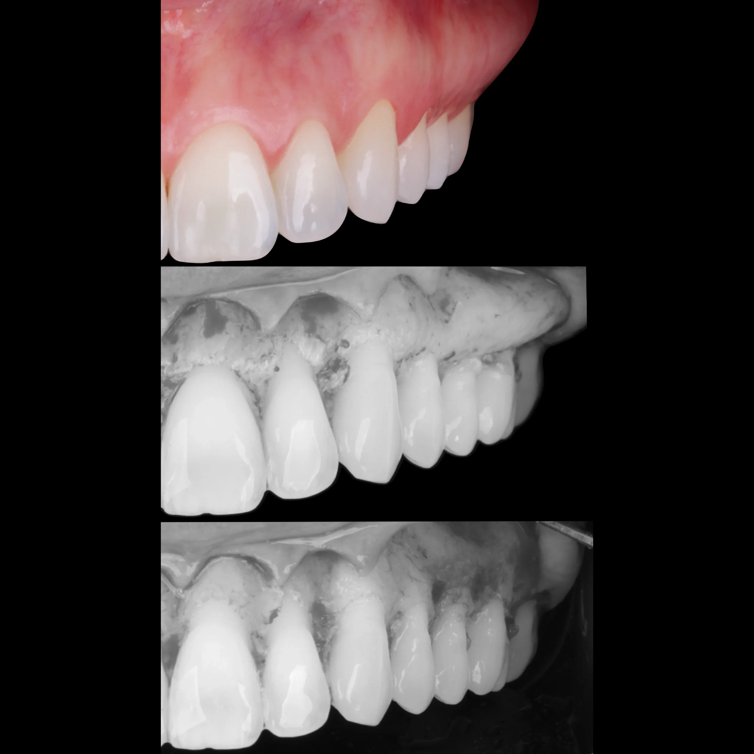 dental-24